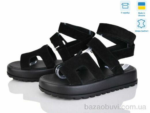 Ailinda 316-1, 790.00, 6, 36-40