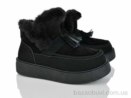 LQD W695-1, 600.00, 8, 36-41