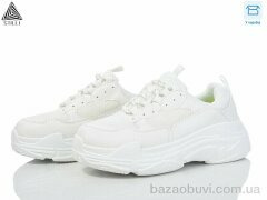 STILLI Group CX231-1 піна, 550.00, 8, 36-40