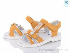 Favorit C2-53, 175.00, 8, 31-37