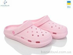 Acorus С98 рожевий, 125.00, 12, 36-41