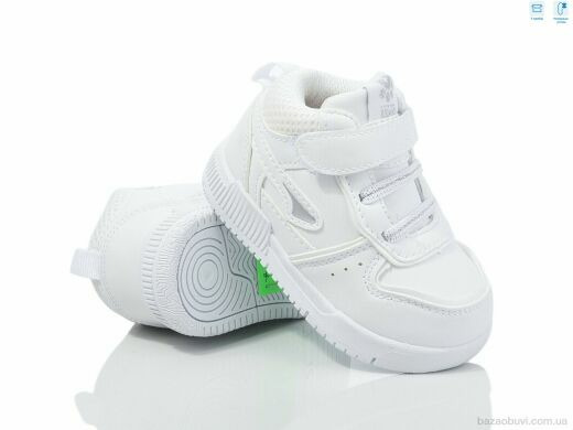 TOM.M 01338A, 320.00, 8, 21-26