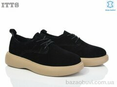 ITTS AA308A, 750.00, 6, 36-41