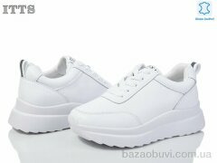 ITTS MT55-2, 20.00, 6, 36-41