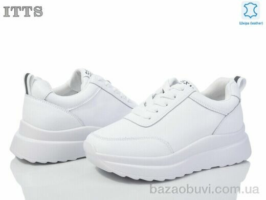 ITTS MT55-2, 20.00, 6, 36-41