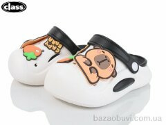 Wei Wei-Class 012-1, 250.00, 12, 18-29