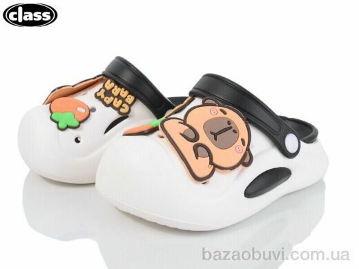 Wei Wei-Class 012-1, 250.00, 12, 18-29