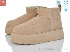 PLPS 5807-3, 26.00, 6, 36-40