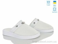 Ailinda 1303-81, 750.00, 6, 36-40