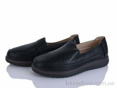 Lion-Lu 2024-56, 350.00, 8, 36-41