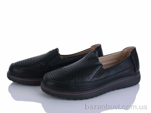 Lion-Lu 2024-56, 350.00, 8, 36-41