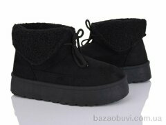 Moli W15-1, 500.00, 8, 36-41