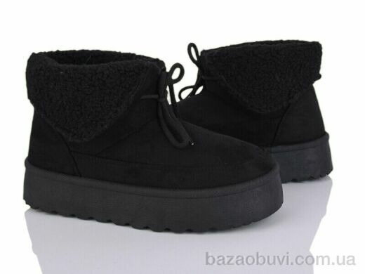 Moli W15-1, 500.00, 8, 36-41