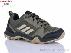 GFB-Канарейка R310-5, 700.00, 8, 33-39