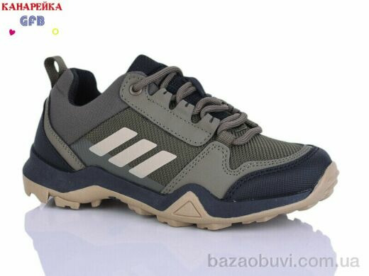 GFB-Канарейка R310-5, 700.00, 8, 33-39