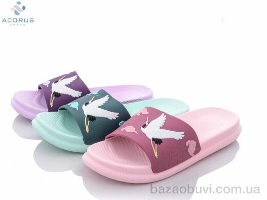 Acorus 1565 mix, 140.00, 10, 36-40