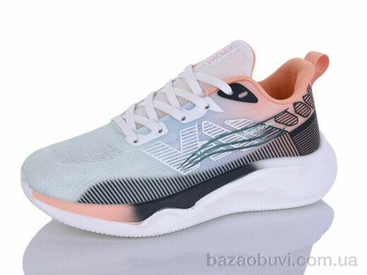 Ditof B0061-2, 11.00, 8, 36-41