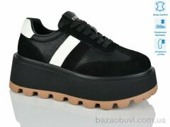 Teetspace-Trasta-Egga WDP1667-1, 30.00, 6, 36-41