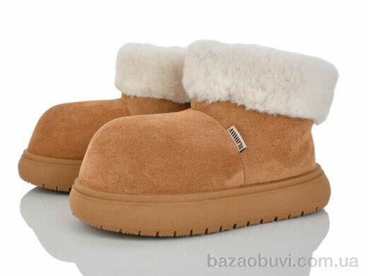 Loretta N056-1, 550.00, 8, 36-40