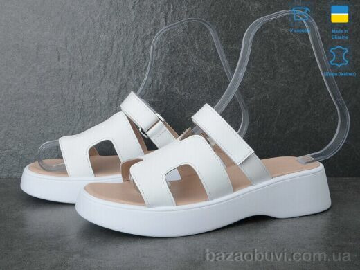 Ailinda 883-8, 570.00, 6, 36-40