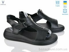 Viscala 23920 ч.ш., 590.00, 6, 36-40