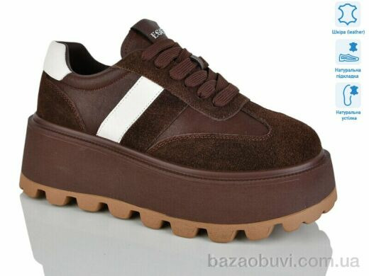 Teetspace-Trasta-Egga WDP1667-33, 30.00, 6, 36-41