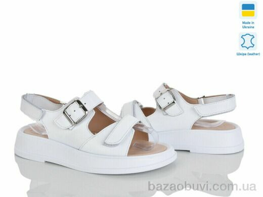 Ailinda 419-8, 870.00, 6, 36-40