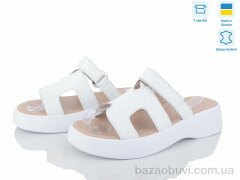 Ailinda 883-8, 570.00, 6, 36-40