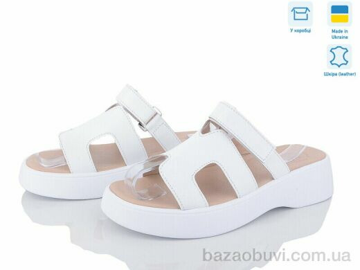 Ailinda 883-8, 570.00, 6, 36-40