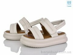 Svit 8811-2, 400.00, 6, 36-41