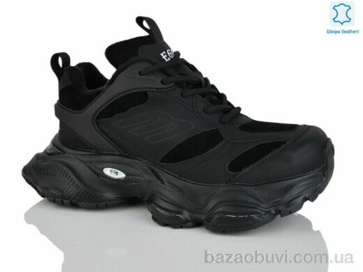 Teetspace-Trasta-Egga WDP1898-1, 38.00, 6, 36-40