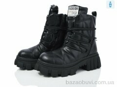 Lion F66-01, 750.00, 6, 36-40