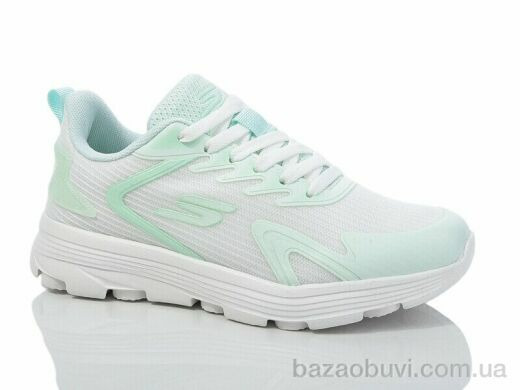 X&Y W3-6, 480.00, 8, 36-41