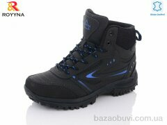 ROYYNA 073LП-6-37, 29.50, 8, 37-41