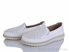 Lion-Lu 2024-58, 350.00, 8, 36-41