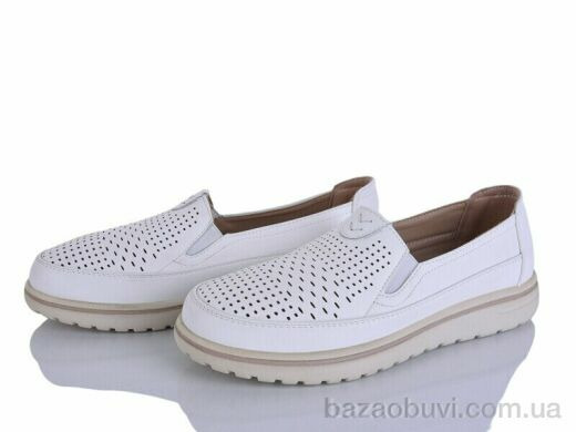 Lion-Lu 2024-58, 350.00, 8, 36-41