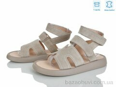 Ailinda 429-27, 570.00, 6, 36-40