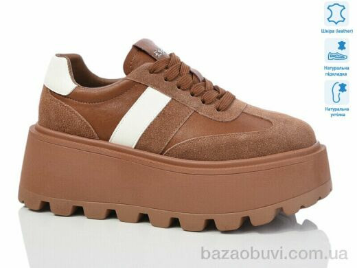 Teetspace-Trasta-Egga WDP1667-5, 30.00, 6, 36-41