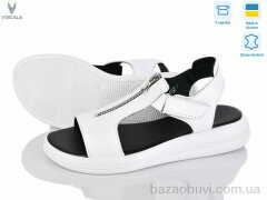 Viscala 23920 б.ш., 590.00, 6, 36-40