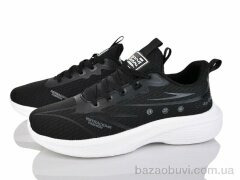 Lion-Lu A0033-2, 420.00, 8, 41-45