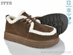 ITTS 5272-35, 25.00, 6, 36-41