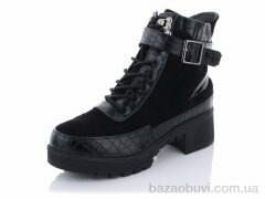 Lion 2039-1, 250.00, 8, 36-41