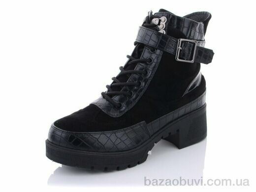 Lion 2039-1, 250.00, 8, 36-41