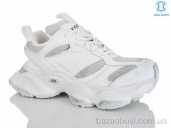 Teetspace-Trasta-Egga WDP1898-26, 38.00, 6, 36-40