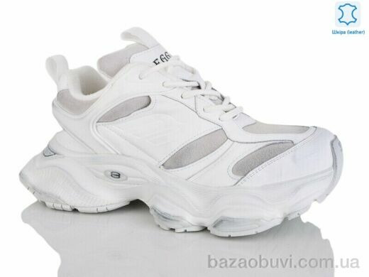 Teetspace-Trasta-Egga WDP1898-26, 38.00, 6, 36-40