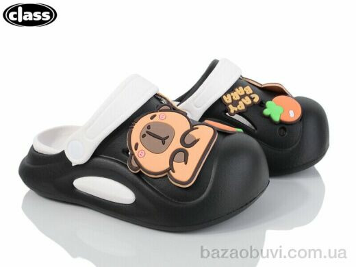 Wei Wei-Class 012-3, 250.00, 12, 18-29