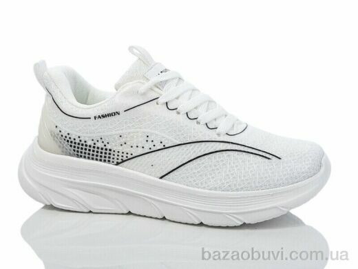 X&Y W4-1, 480.00, 8, 36-41