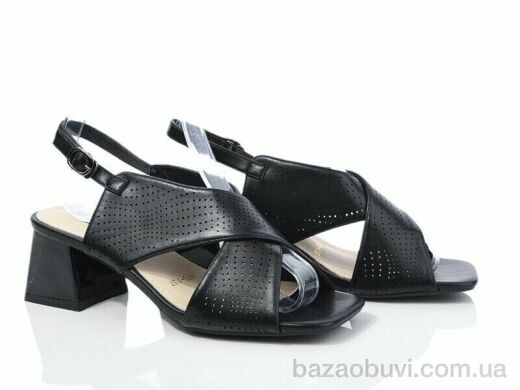 Loretta A875-1, 500.00, 6, 36-40