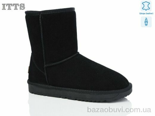 ITTS GG8825, 19.00, 6, 41-43