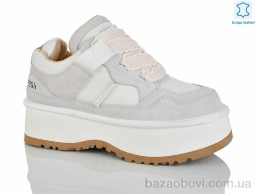 Teetspace-Trasta-Egga WMP1051-26, 34.00, 6, 36-41